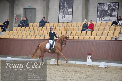 Blue Hors
1. kvl 4års heste dressur
Nøgleord: unna;josefine hoffmann