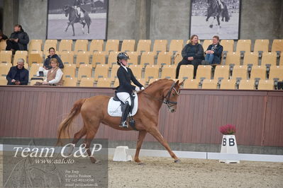 Blue Hors
1. kvl 4års heste dressur
Nøgleord: unna;josefine hoffmann