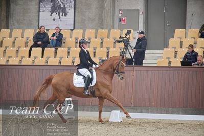 Blue Hors
1. kvl 4års heste dressur
Nøgleord: unna;josefine hoffmann