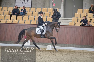 Blue Hors
1. kvl 4års heste dressur
Nøgleord: sølbakkehus maud;alan grøn