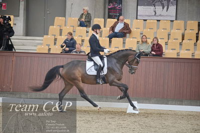 Blue Hors
1. kvl 4års heste dressur
Nøgleord: sølbakkehus maud;alan grøn