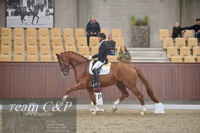 Blue Hors
1. kvl 4års heste dressur
Nøgleord: triumph villa;michael grønne christensen