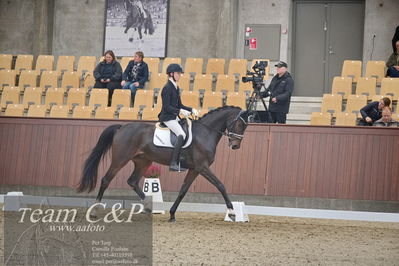 Blue Hors
1. kvl 4års heste dressur
Nøgleord: donkey king;anders uve sjøbeck hoeck