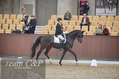 Blue Hors
1. kvl 4års heste dressur
Nøgleord: donkey king;anders uve sjøbeck hoeck