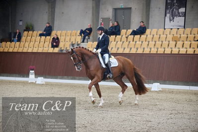 Blue Hors
1. kvl 4års heste dressur
Nøgleord: triumph villa;michael grønne christensen