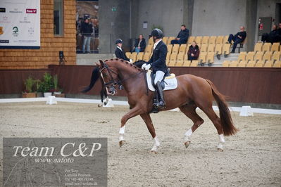 Blue Hors
1. kvl 4års heste dressur
Nøgleord: triumph villa;michael grønne christensen