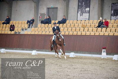 Blue Hors
1. kvl 4års heste dressur
Nøgleord: triumph villa;michael grønne christensen