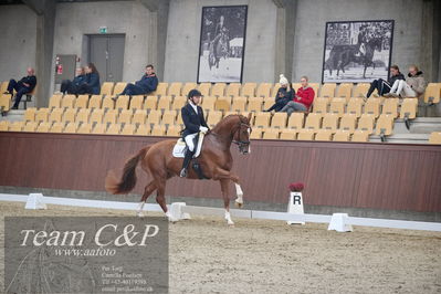 Blue Hors
1. kvl 4års heste dressur
Nøgleord: triumph villa;michael grønne christensen