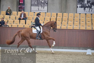 Blue Hors
1. kvl 4års heste dressur
Nøgleord: triumph villa;michael grønne christensen