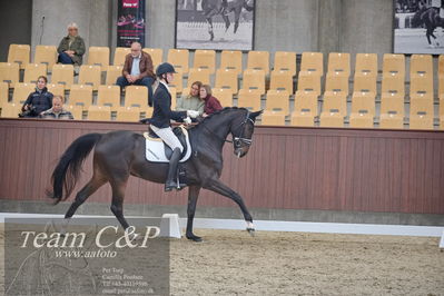 Blue Hors
1. kvl 4års heste dressur
Nøgleord: donkey king;anders uve sjøbeck hoeck