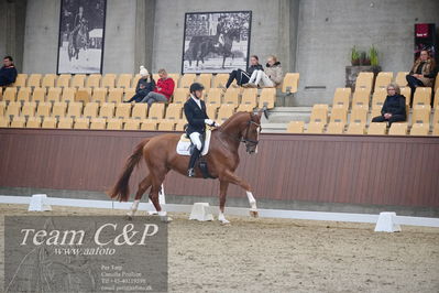 Blue Hors
1. kvl 4års heste dressur
Nøgleord: triumph villa;michael grønne christensen