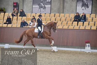 Blue Hors
1. kvl 4års heste dressur
Nøgleord: triumph villa;michael grønne christensen