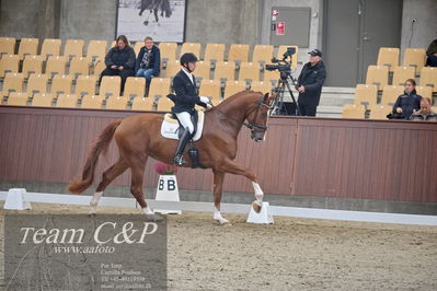 Blue Hors
1. kvl 4års heste dressur
Nøgleord: triumph villa;michael grønne christensen