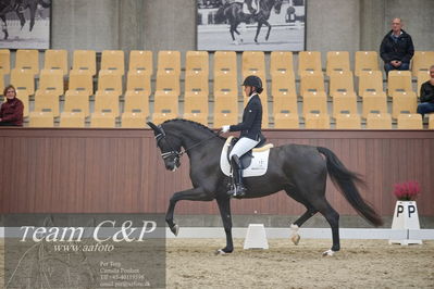 Blue Hors
1. kvl 4års heste dressur
Nøgleord: lyngbjergs st paris;victoria e vallentin