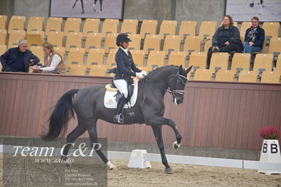 Blue Hors
1. kvl 4års heste dressur
Nøgleord: lyngbjergs st paris;victoria e vallentin