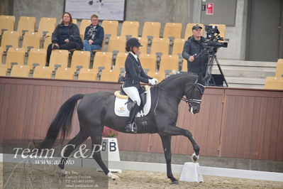 Blue Hors
1. kvl 4års heste dressur
Nøgleord: lyngbjergs st paris;victoria e vallentin