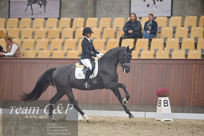 Blue Hors
1. kvl 4års heste dressur
Nøgleord: lyngbjergs st paris;victoria e vallentin