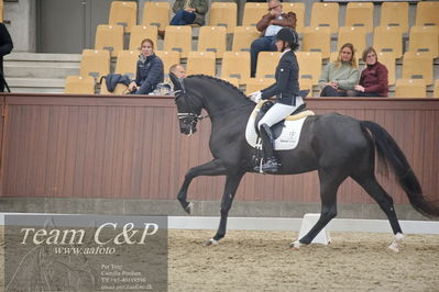 Blue Hors
1. kvl 4års heste dressur
Nøgleord: lyngbjergs st paris;victoria e vallentin