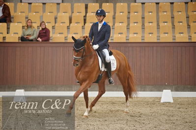 Blue Hors
1. kvl 4års heste dressur
Nøgleord: blue hors valenzo;christian tudela ruiz