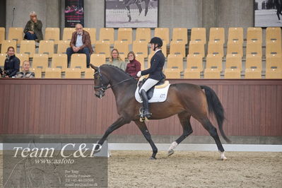 Blue Hors
1. kvl 4års heste dressur
Nøgleord: revel enshøj;mette riisager