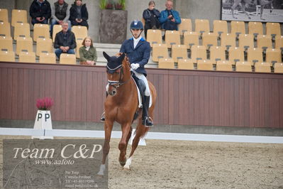 Blue Hors
1. kvl 4års heste dressur
Nøgleord: blue hors valenzo;christian tudela ruiz