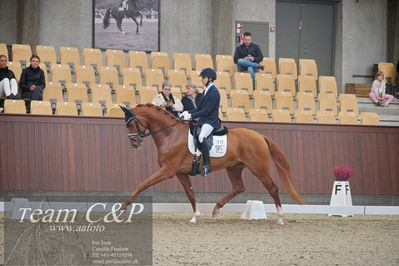 Blue Hors
1. kvl 4års heste dressur
Nøgleord: blue hors valenzo;christian tudela ruiz
