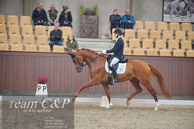 Blue Hors
1. kvl 4års heste dressur
Nøgleord: blue hors valenzo;christian tudela ruiz