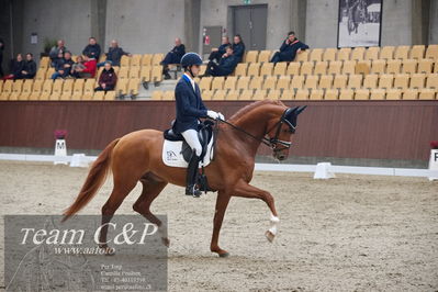 Blue Hors
1. kvl 4års heste dressur
Nøgleord: blue hors valenzo;christian tudela ruiz