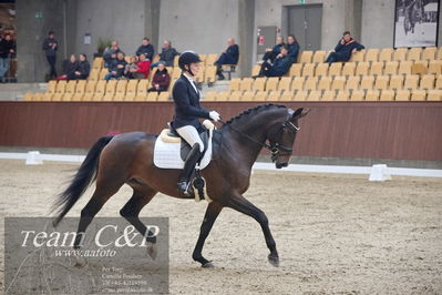 Blue Hors
1. kvl 4års heste dressur
Nøgleord: revel enshøj;mette riisager