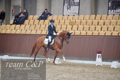 Blue Hors
1. kvl 4års heste dressur
Nøgleord: blue hors valenzo;christian tudela ruiz