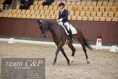 Blue Hors
1. kvl 4års heste dressur
Nøgleord: revel enshøj;mette riisager