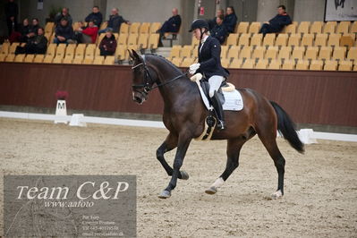 Blue Hors
1. kvl 4års heste dressur
Nøgleord: revel enshøj;mette riisager