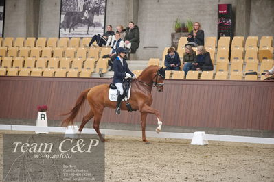 Blue Hors
1. kvl 4års heste dressur
Nøgleord: blue hors valenzo;christian tudela ruiz