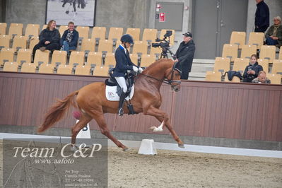Blue Hors
1. kvl 4års heste dressur
Nøgleord: blue hors valenzo;christian tudela ruiz