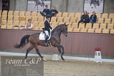 Blue Hors
1. kvl 4års heste dressur
Nøgleord: revel enshøj;mette riisager