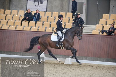 Blue Hors
1. kvl 4års heste dressur
Nøgleord: revel enshøj;mette riisager
