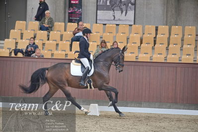 Blue Hors
1. kvl 4års heste dressur
Nøgleord: revel enshøj;mette riisager