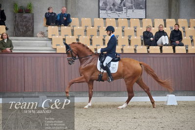 Blue Hors
1. kvl 4års heste dressur
Nøgleord: blue hors valenzo;christian tudela ruiz