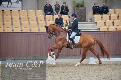 Blue Hors
1. kvl 4års heste dressur
Nøgleord: blue hors valenzo;christian tudela ruiz