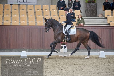 Blue Hors
1. kvl 4års heste dressur
Nøgleord: revel enshøj;mette riisager