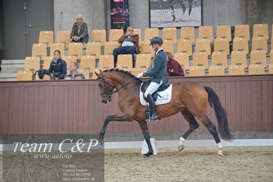Blue Hors
1. kvl 4års heste dressur
Nøgleord: slangerupgaards flottenheimer;eric guardia marrtinez