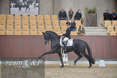 Blue Hors
1. kvl 4års heste dressur
Nøgleord: iron;mette sejbjerg jensen