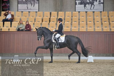 Blue Hors
1. kvl 4års heste dressur
Nøgleord: iron;mette sejbjerg jensen