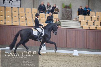 Blue Hors
1. kvl 4års heste dressur
Nøgleord: iron;mette sejbjerg jensen