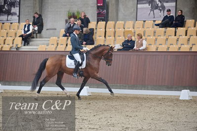 Blue Hors
1. kvl 4års heste dressur
Nøgleord: slangerupgaards flottenheimer;eric guardia marrtinez