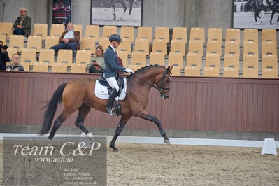 Blue Hors
1. kvl 4års heste dressur
Nøgleord: slangerupgaards flottenheimer;eric guardia marrtinez