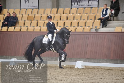 Blue Hors
1. kvl 4års heste dressur
Nøgleord: iron;mette sejbjerg jensen