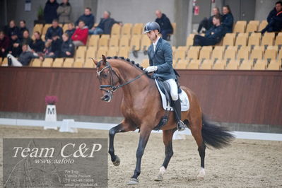 Blue Hors
1. kvl 4års heste dressur
Nøgleord: slangerupgaards flottenheimer;eric guardia marrtinez