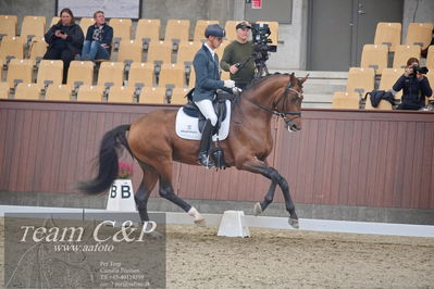 Blue Hors
1. kvl 4års heste dressur
Nøgleord: slangerupgaards flottenheimer;eric guardia marrtinez