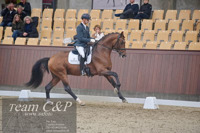 Blue Hors
1. kvl 4års heste dressur
Nøgleord: slangerupgaards flottenheimer;eric guardia marrtinez